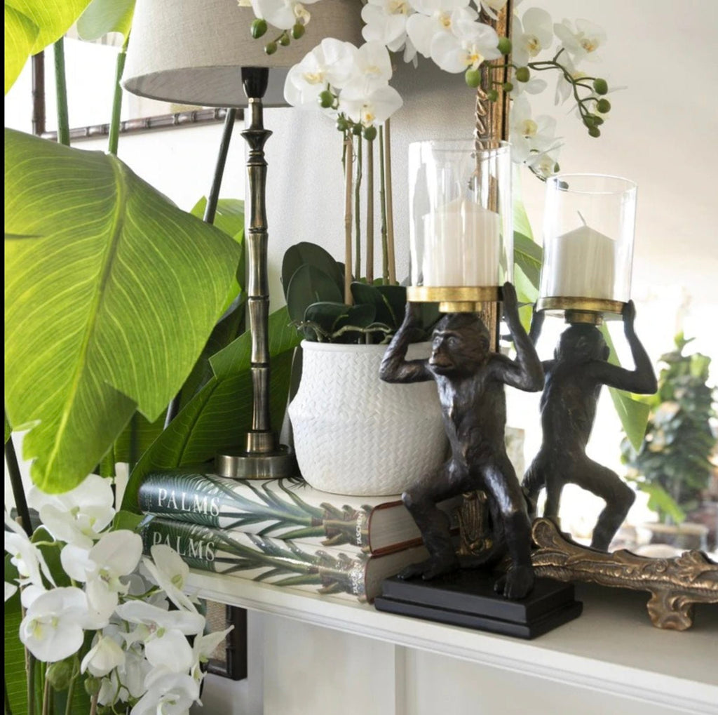 Our home décor accessories include: Faux plants, ceramics, glasses, woven baskets, bathroom accessories & much more. Add some style to your home. Shop now!