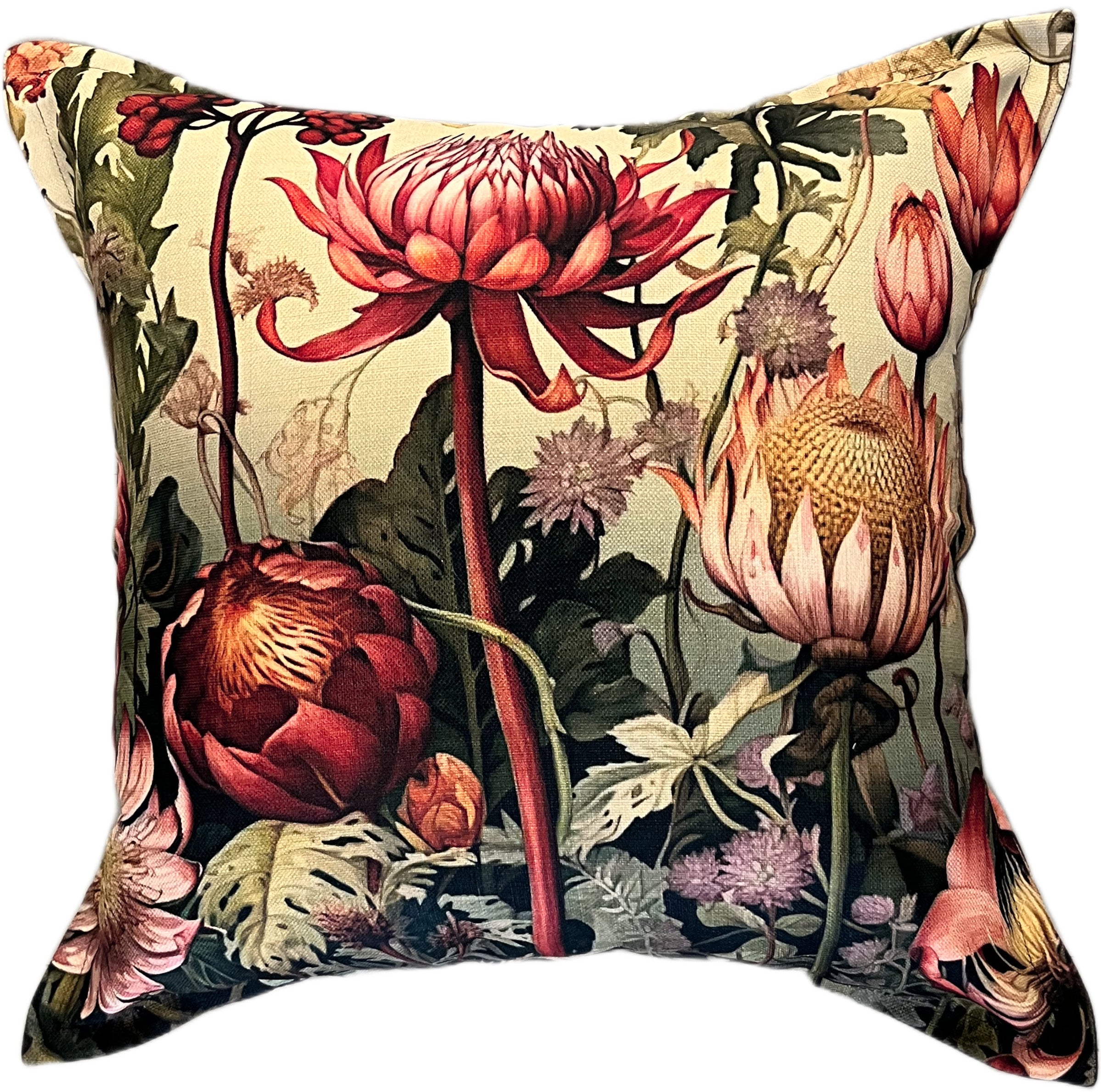 Blush Land Scatter Cushions