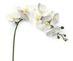 101cm 4 x Faux Orchid Butterfly Sprays