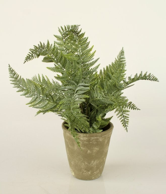 GREEN FAUX FERN IN CEMENT POT