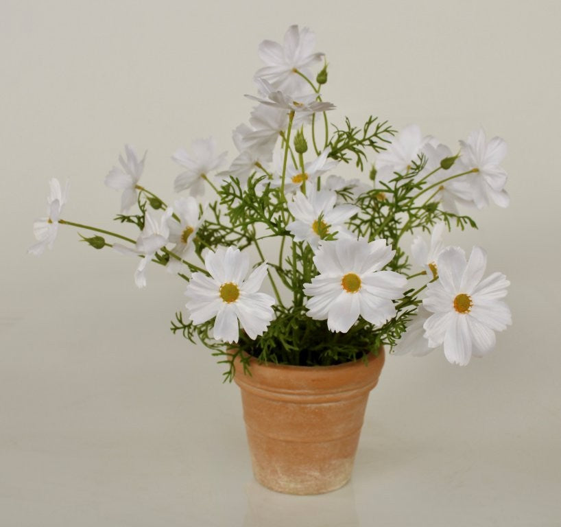 FAUX COSMOS IN TERRACOTA POT