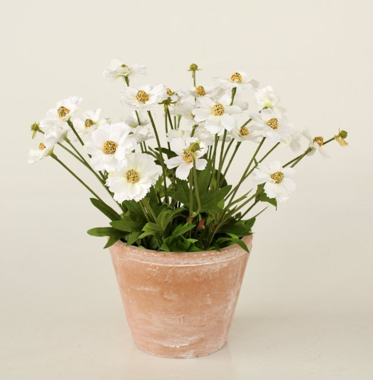 FAUX DAISIES IN TERRACOTA POT