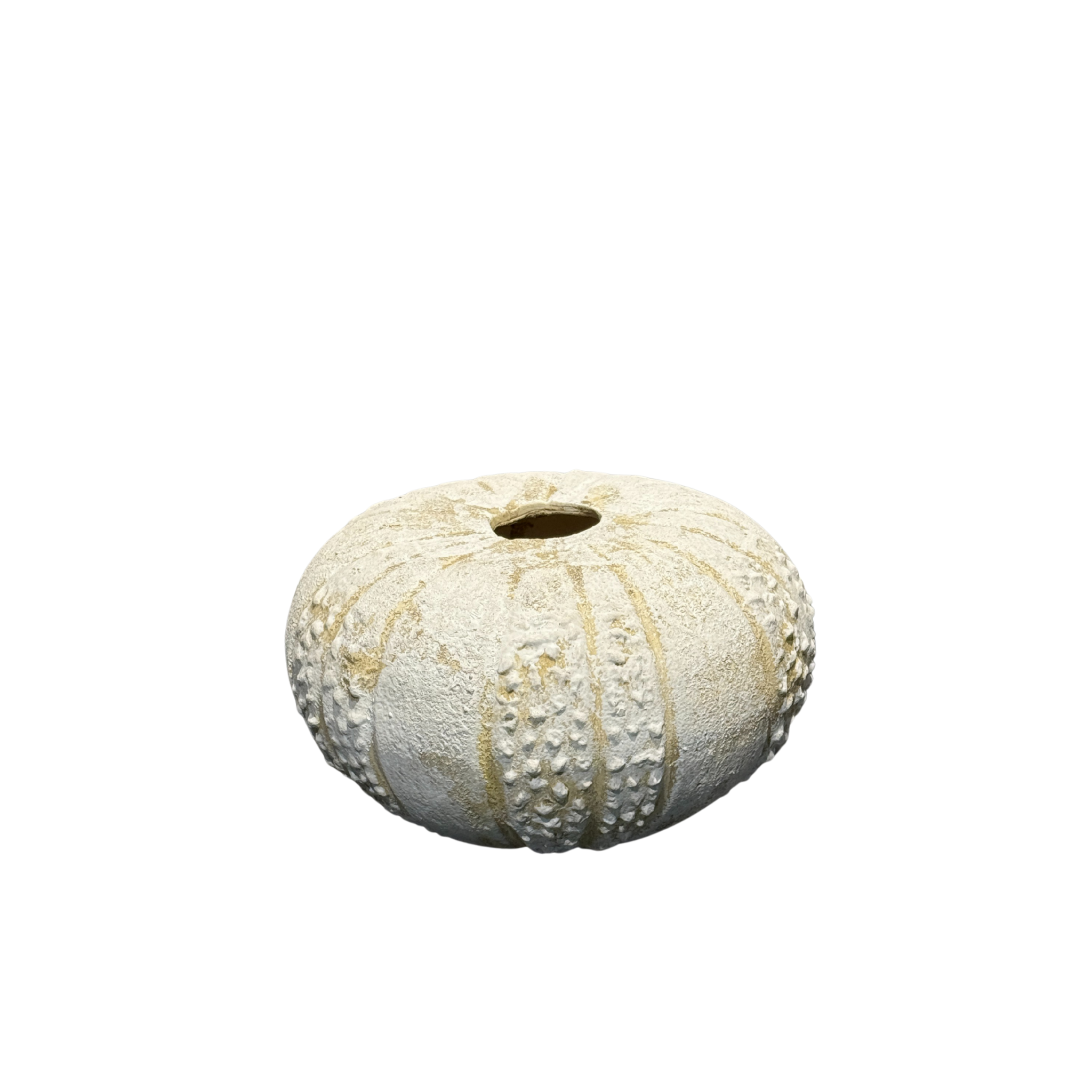 Urchin Small Ceramic Vase