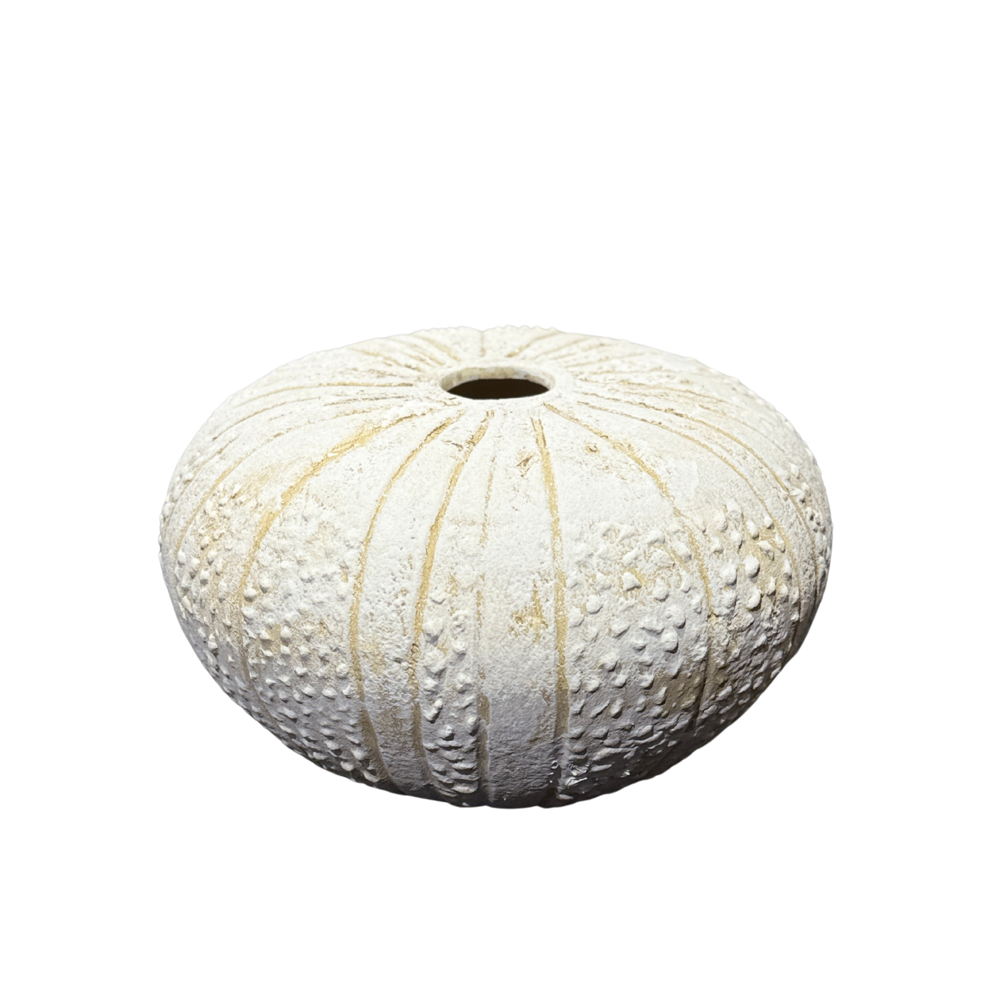 Urchin Large Ceramic Vase