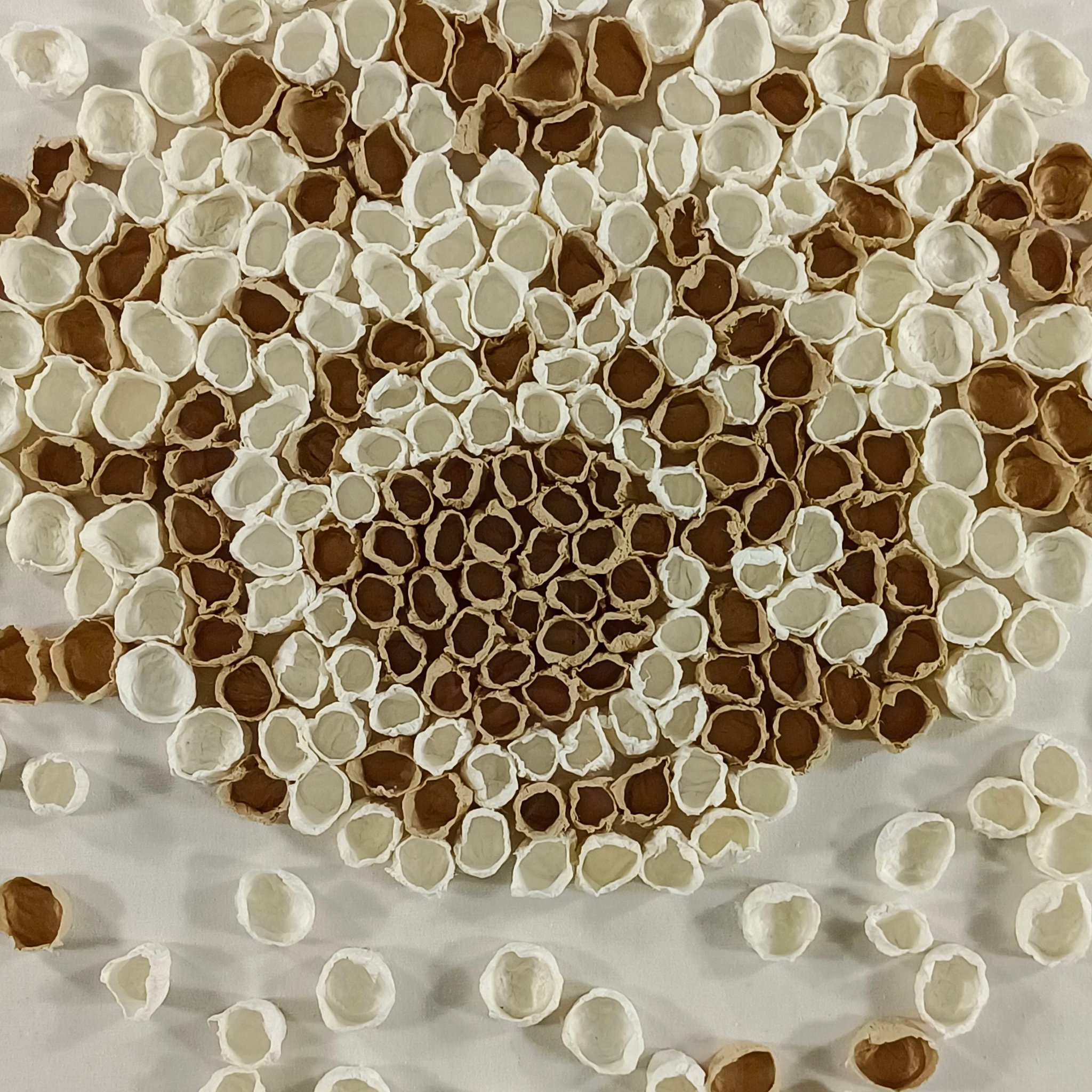 Bloom Wall Art – Wood Frame, With Glass