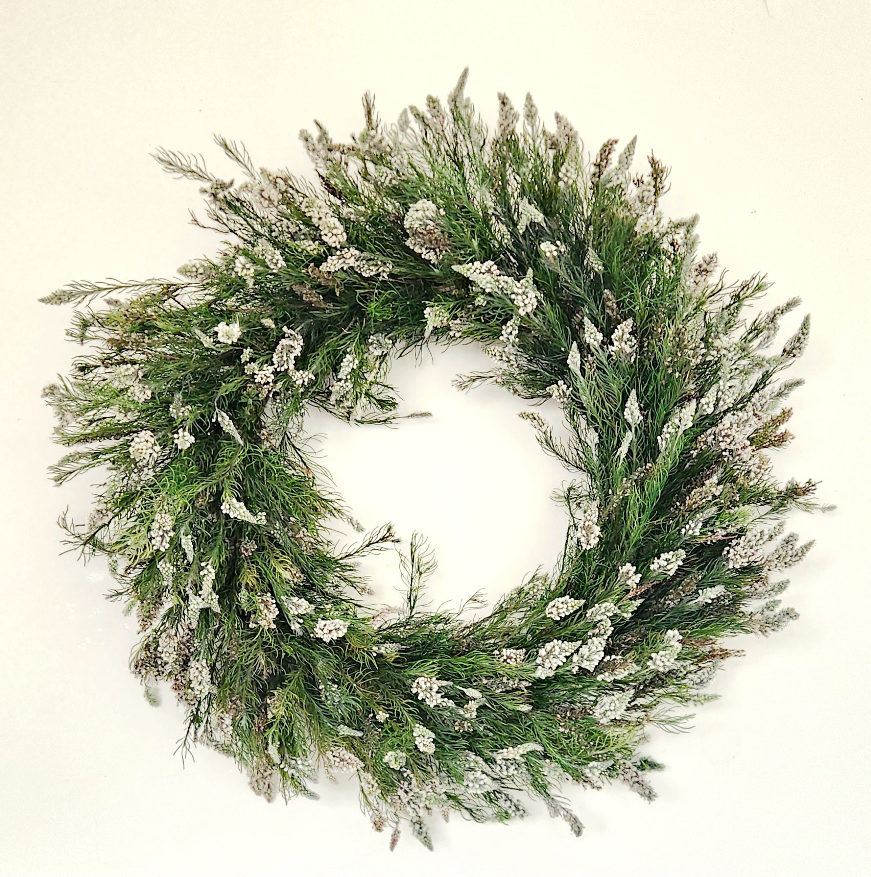 Green Buxifolia with Cones Wreath