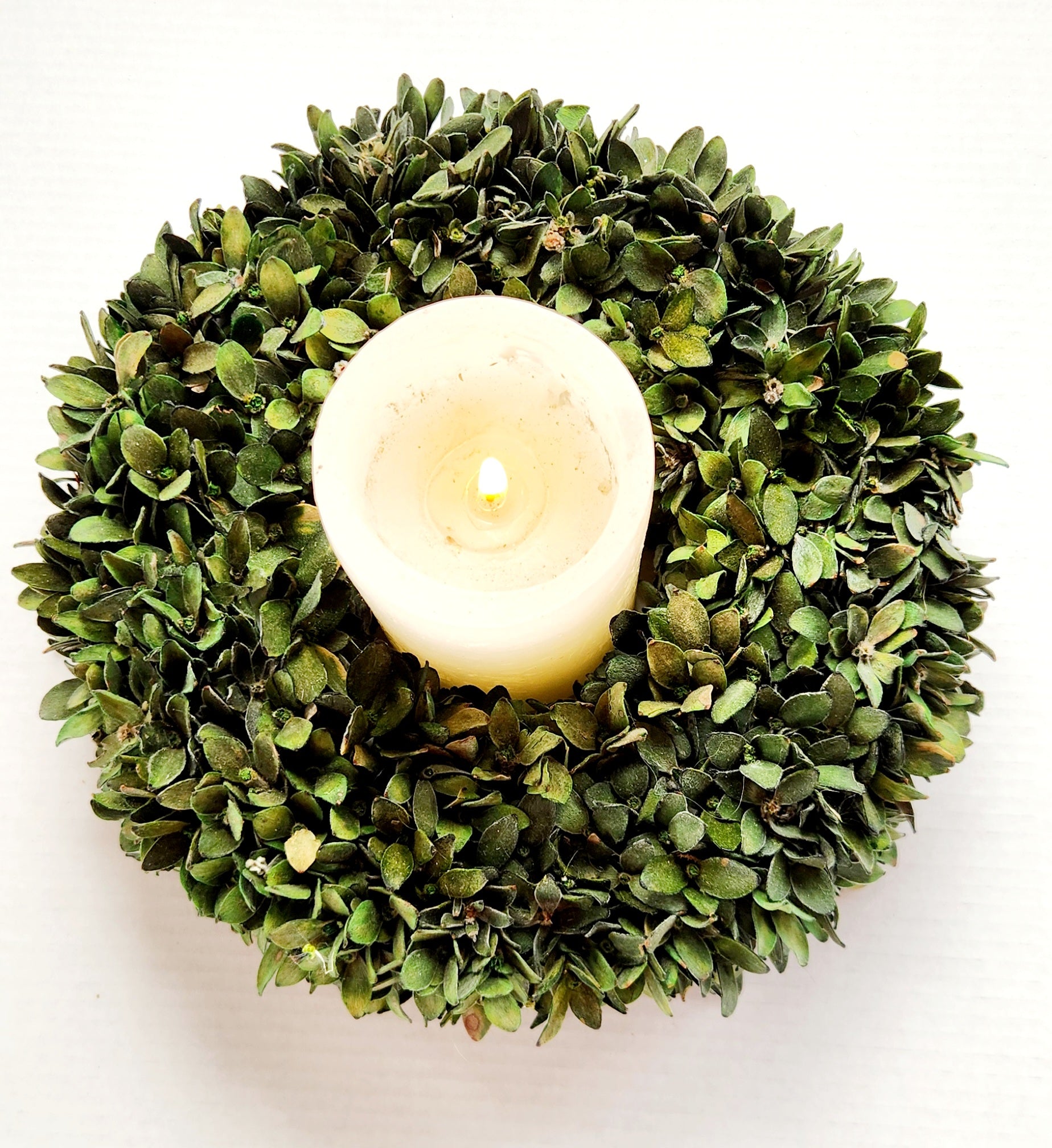 Green Buxifolia Candle Wreath in a Box