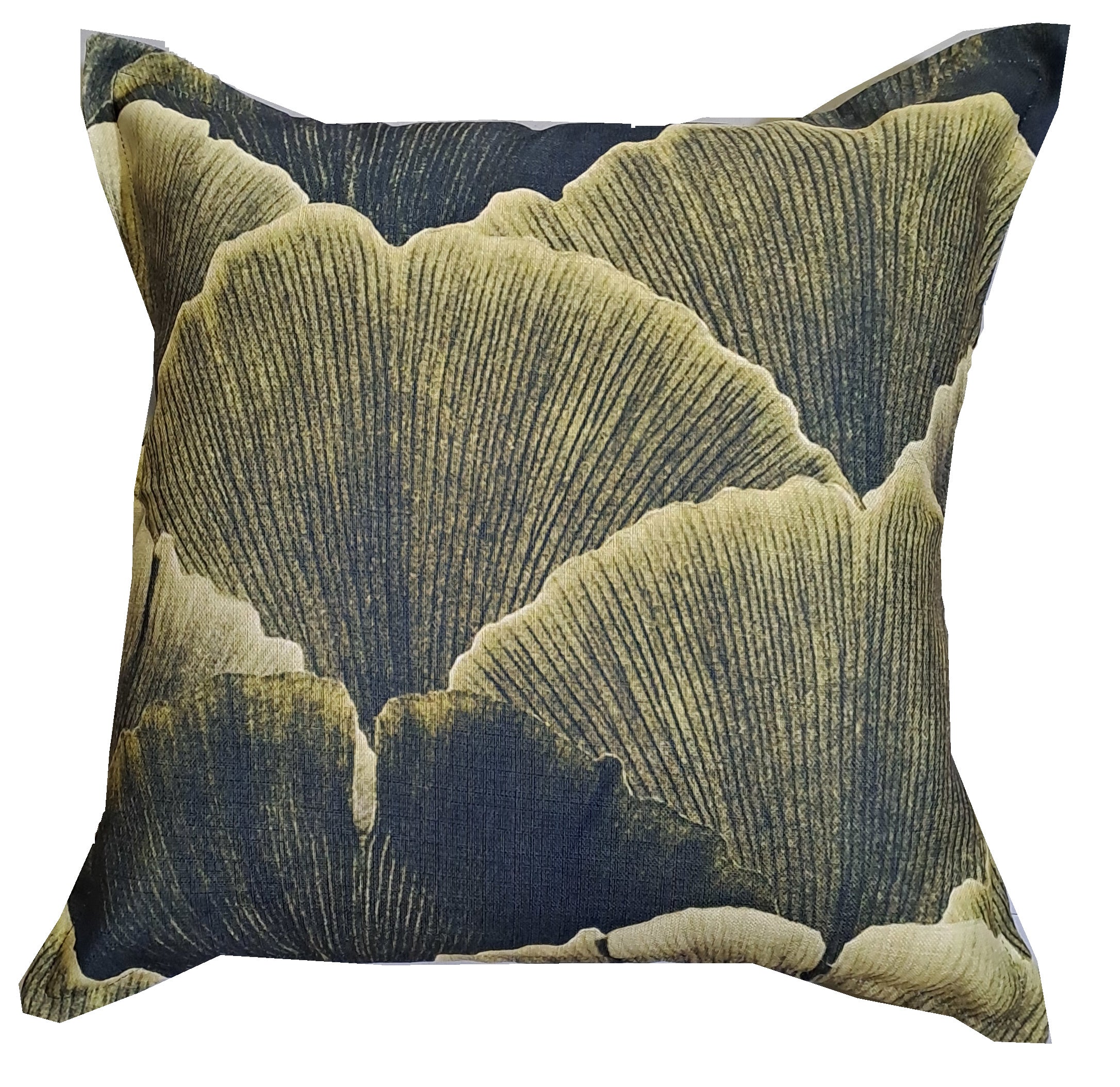 Beauty Scatter Cushions