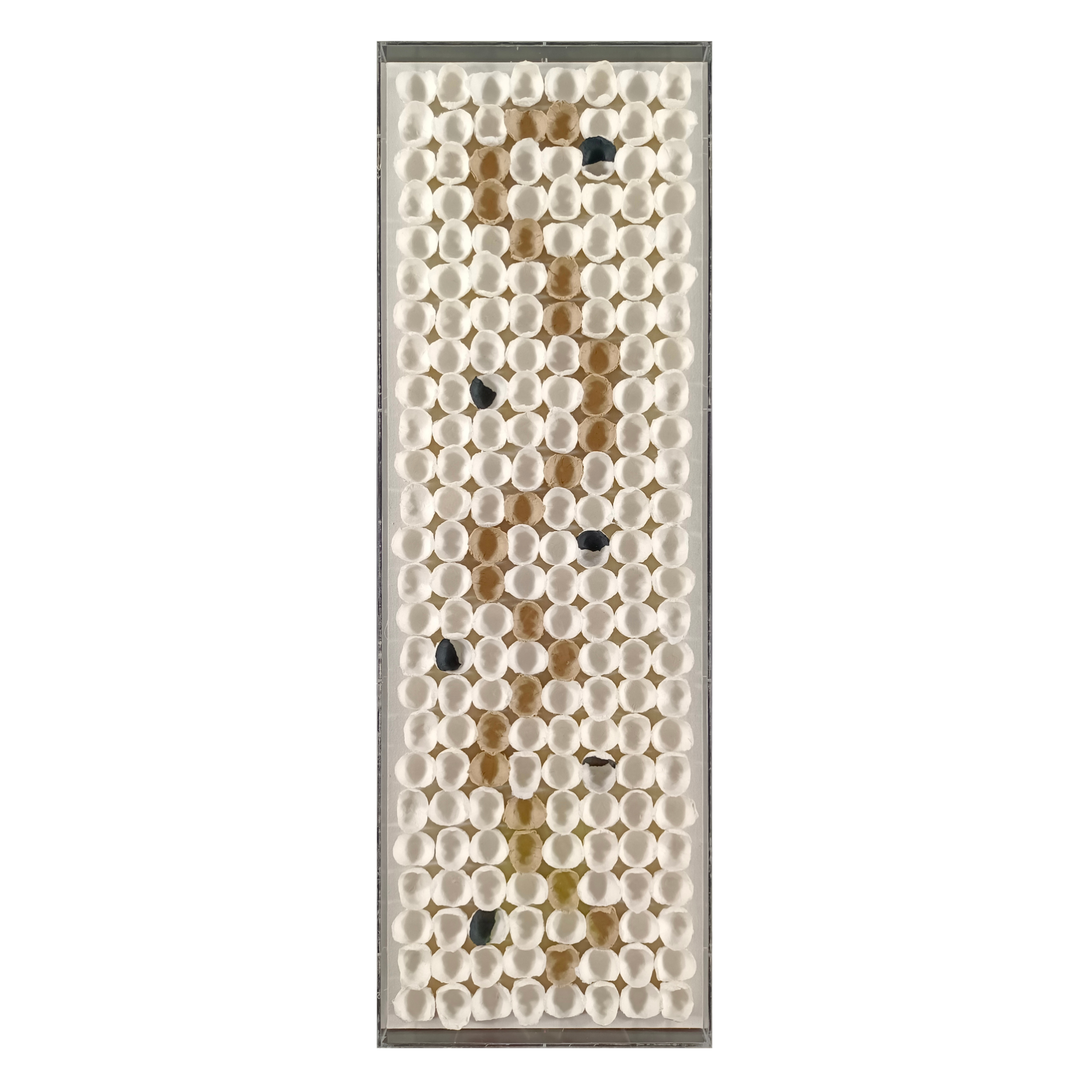 Serpentine Wall Art – Perspex Case