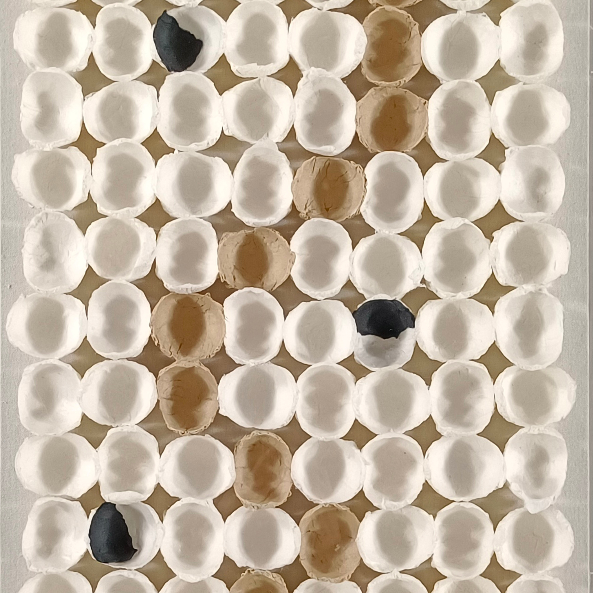 Serpentine Wall Art – Perspex Case