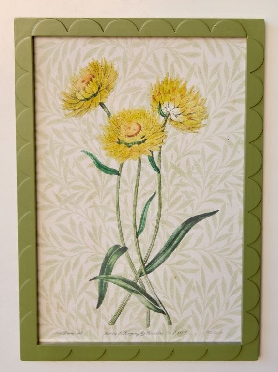 Green Scalloped Frame with Yellow Flower Picture