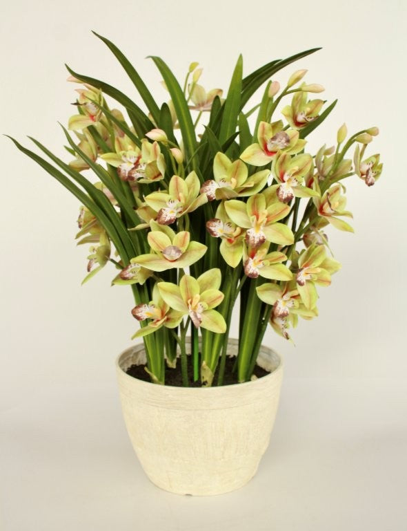 7 GREEN FAUX ORCHIDS IN POT