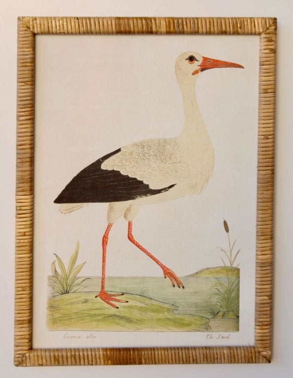 Stork Rattan Framed Picture