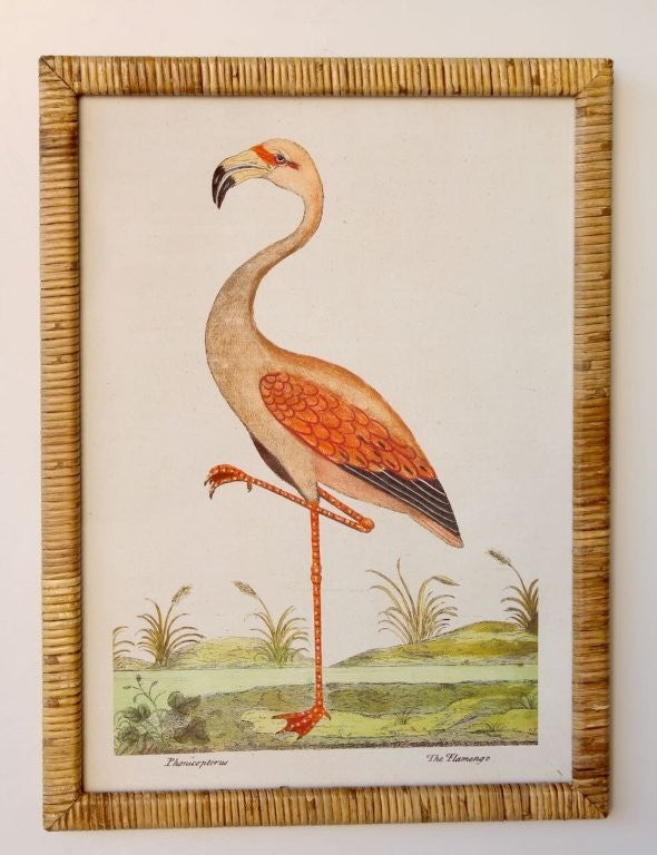 Flamingo Rattan Framed Picture