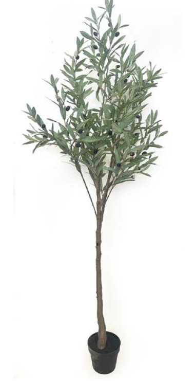 Faux Olive Tree 183cm in Pot