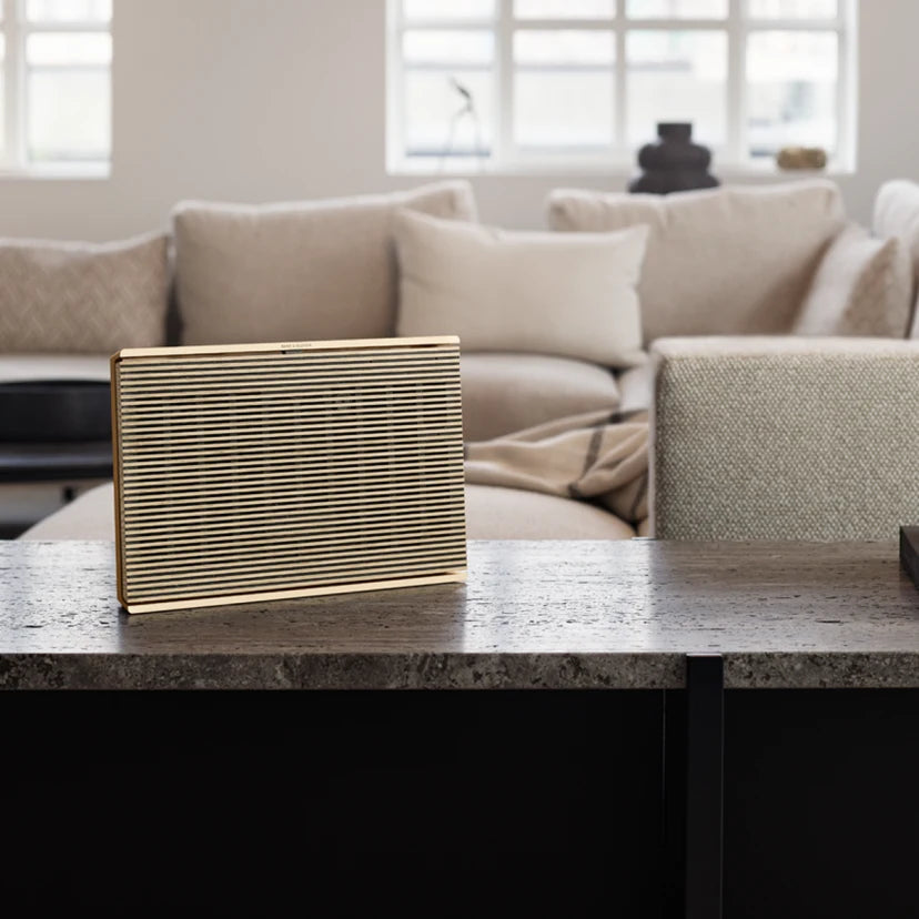 BANG & OLUFSEN -Beosound level