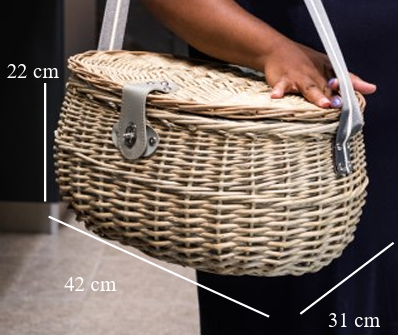 Safari Picnic Basket for 4 people
