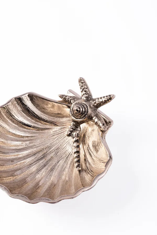 BOWL SHELL STARFISH AS