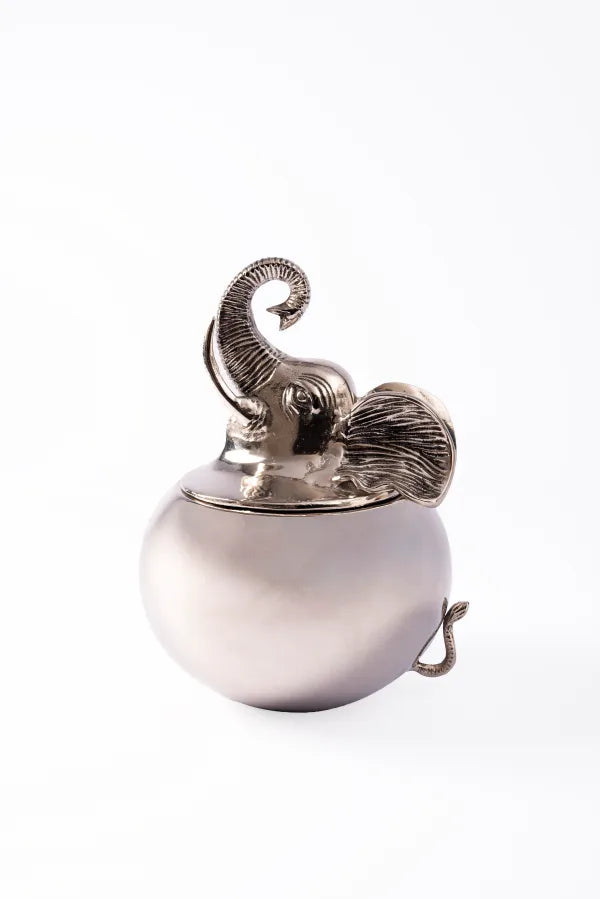ICE BUCKET ELLIE BELLIE AS