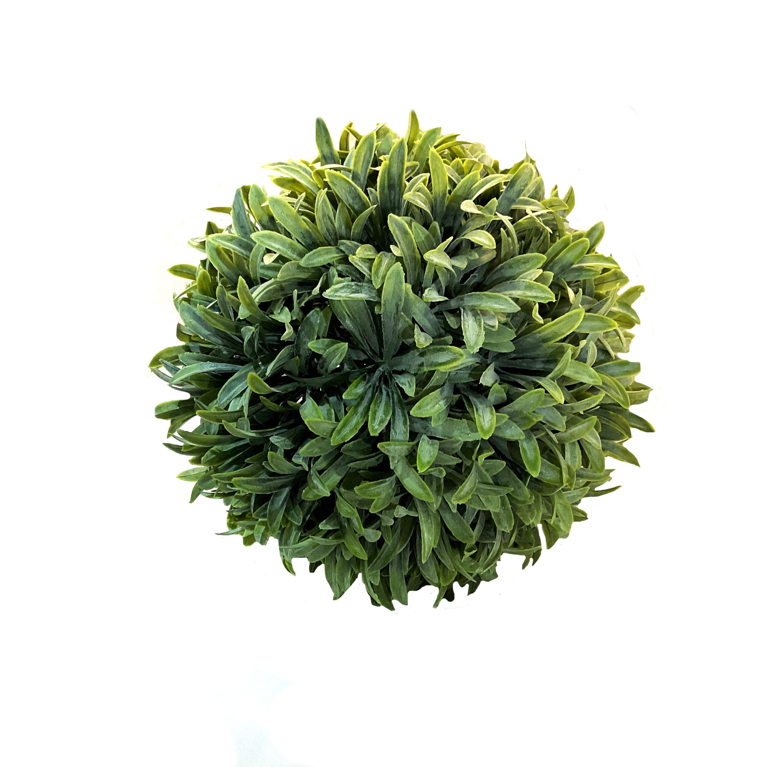 Textured Broad-Bladed Grass Ball