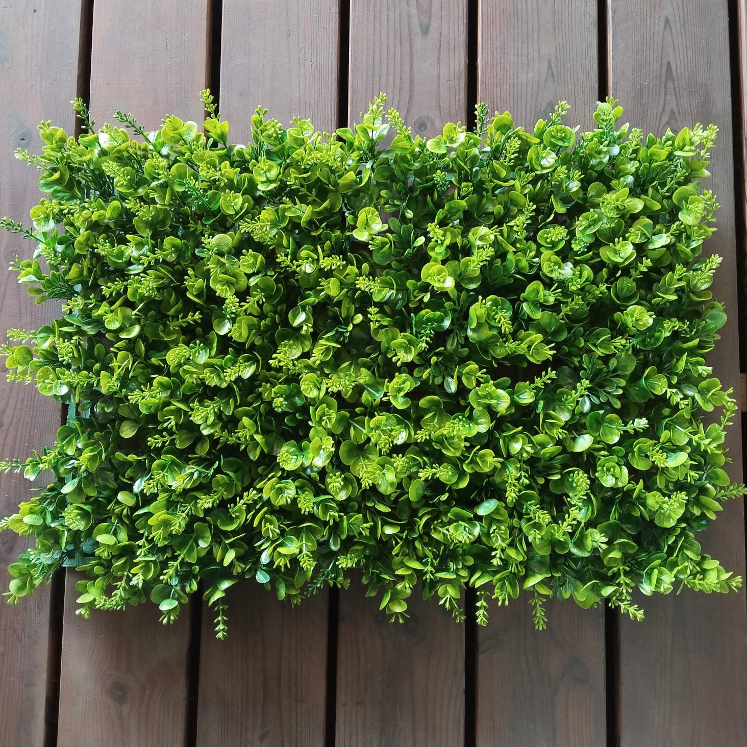 Faux Euca Seedling Panel Set of 4