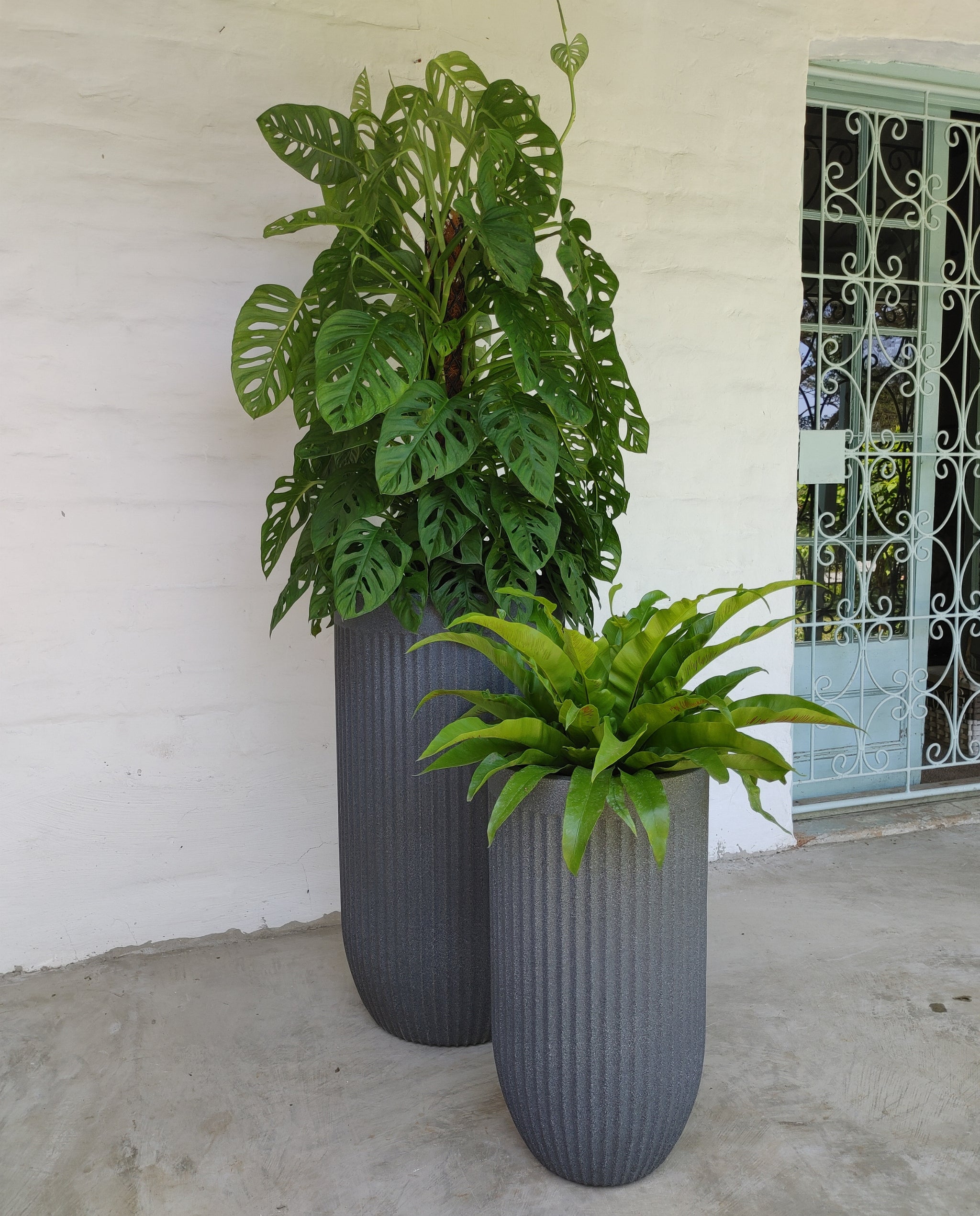 Flute Tall Set of 2 Outdoor Planters
