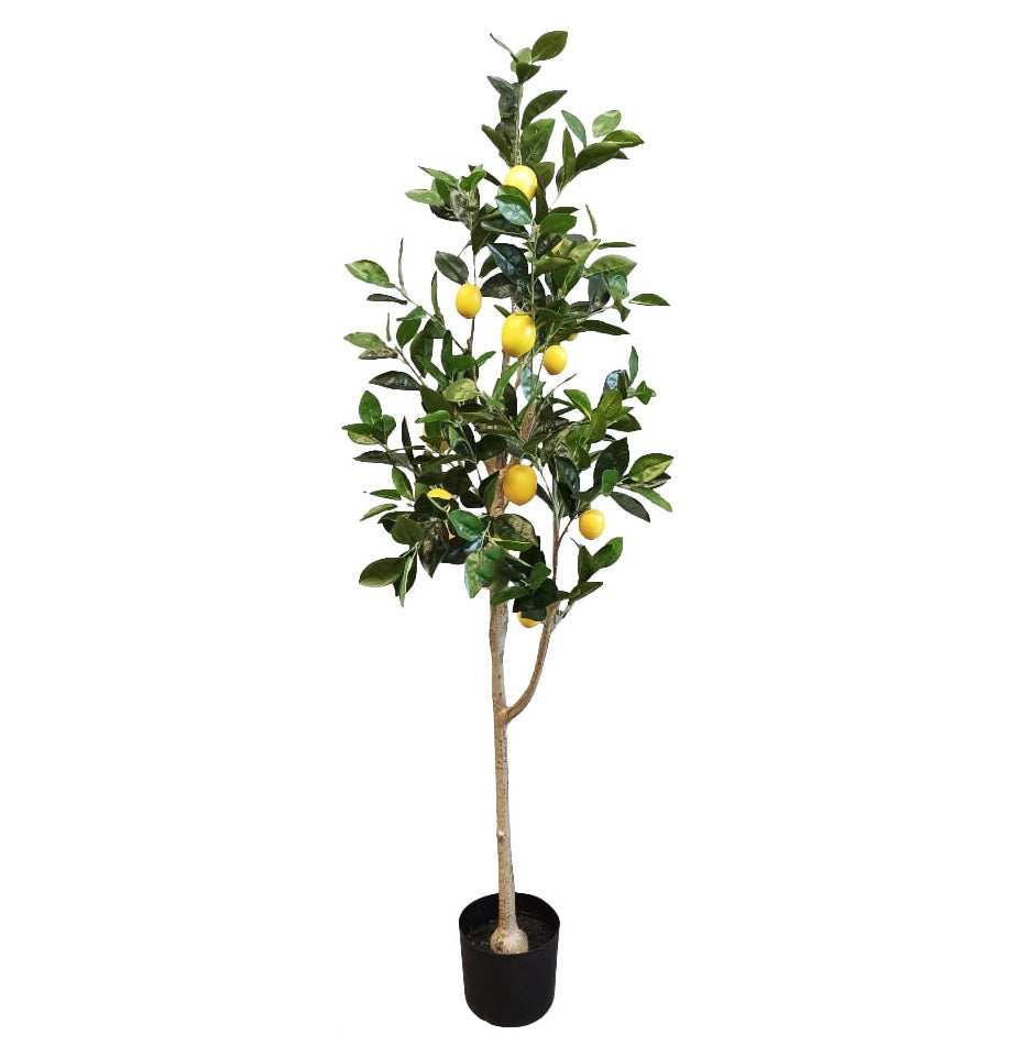Faux Lemon Tree 150cm