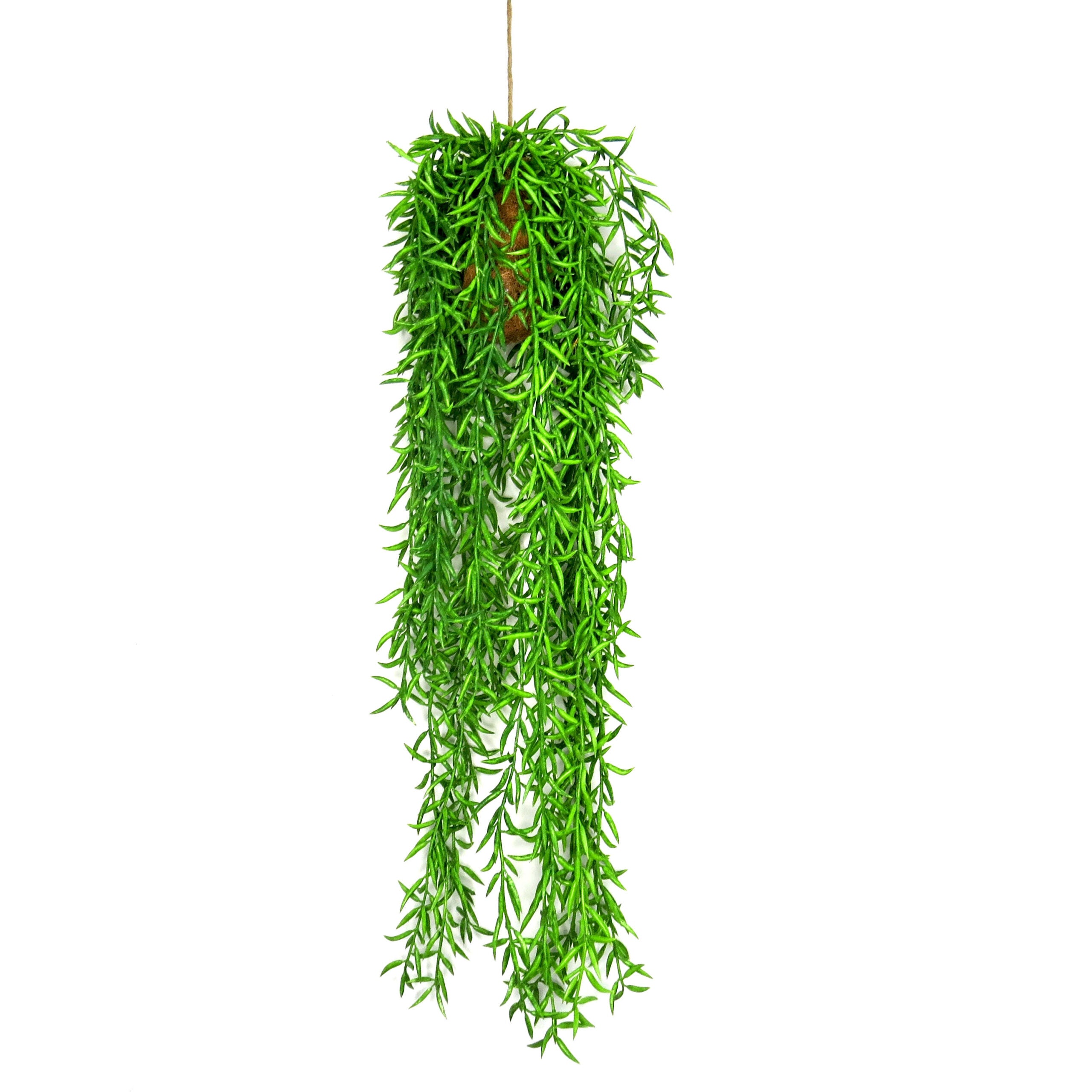 Faux Fingerlings Hanging Plant