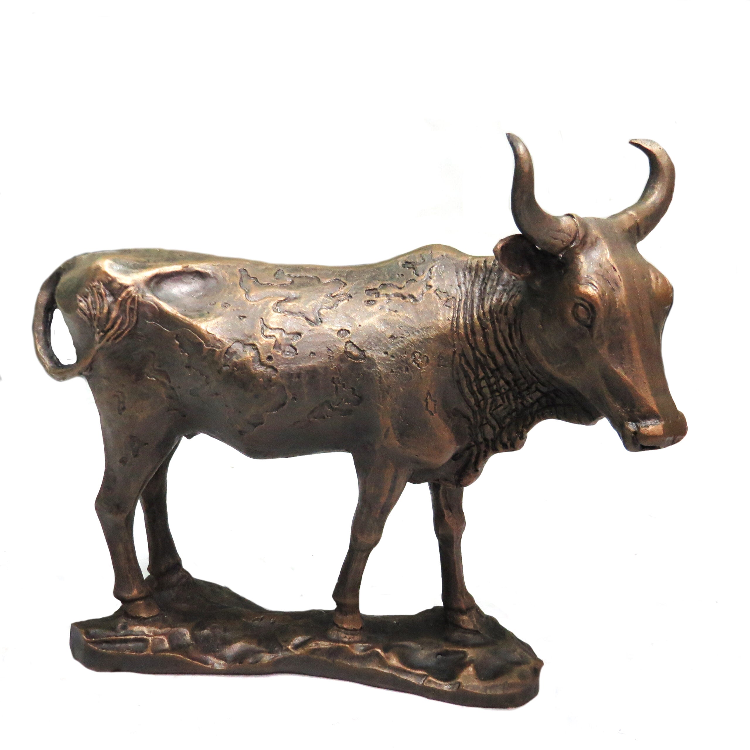 Bronze-Coloured Nguni