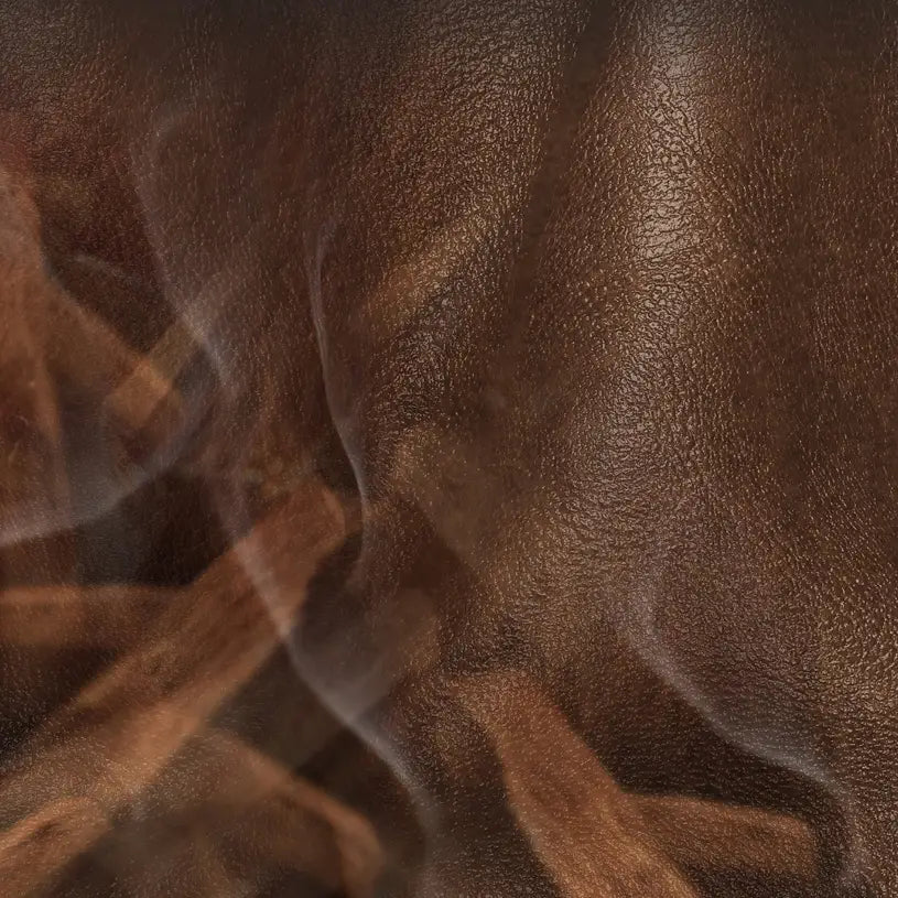 500ml Leather Oud Dr Vranjes Stick Diffuser