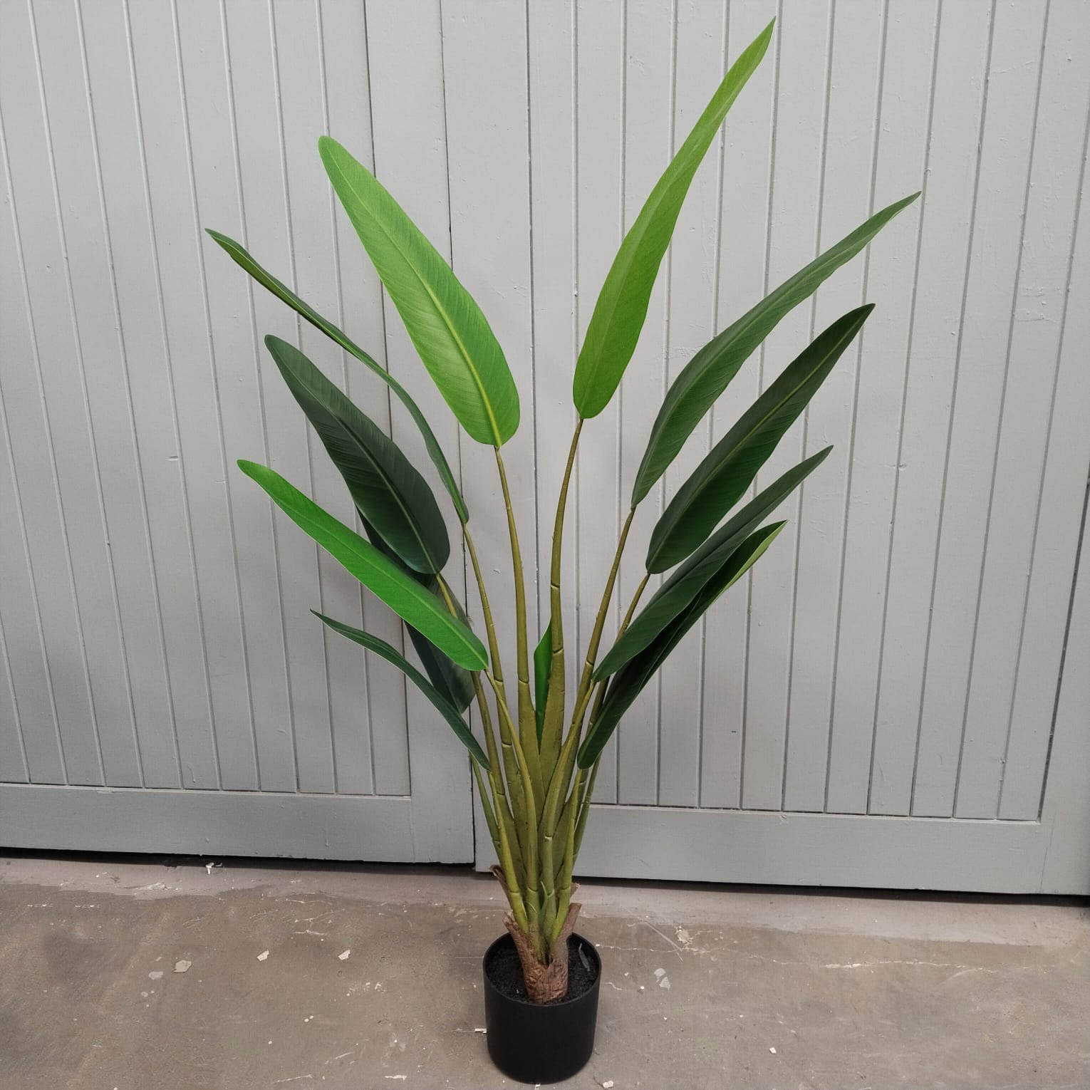Faux Strelizia Potted 120cm