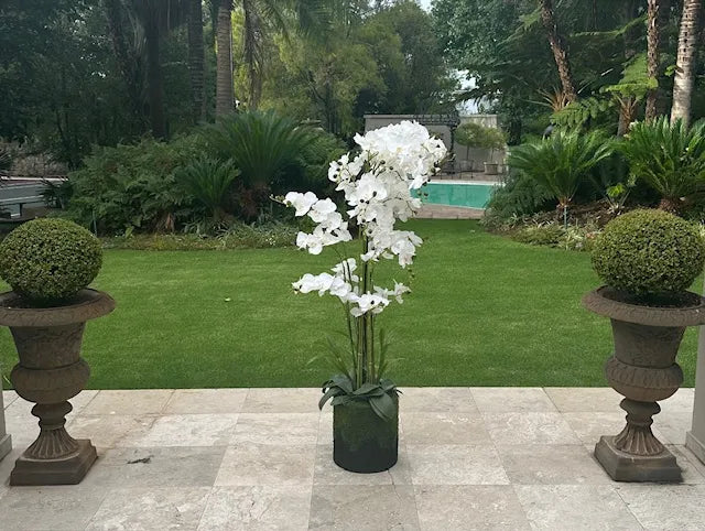 180cm Magnificent 13 Stem Faux Orchid