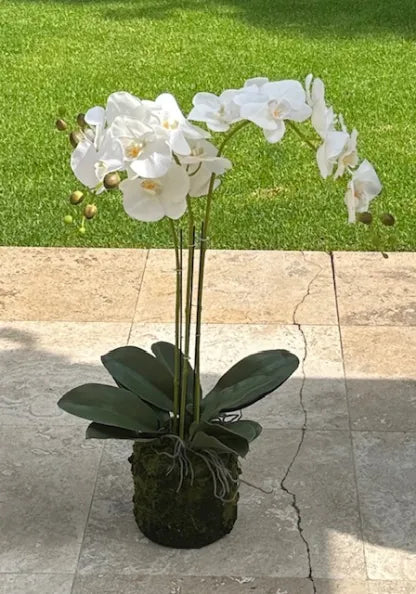 78cm Magnificent 3 Stem Faux Orchid