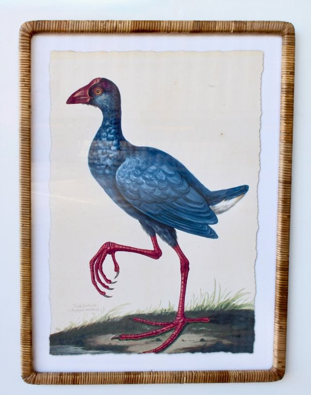 BLUE BIRD PICTURE CANE FRAME