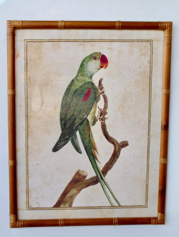 GREEN PARROT PINK BEEK PICTURE BAMBOO FRAME