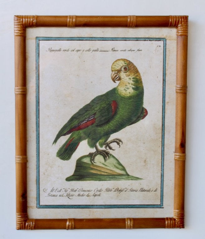 GREEN PARROT YELLOW HEAD PICTURE BAMBOO FRAME