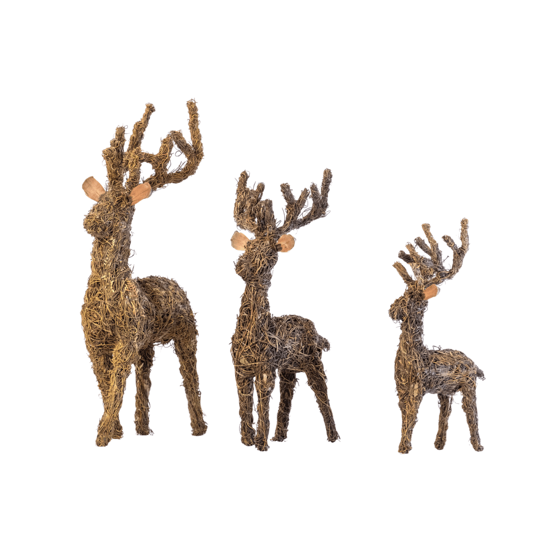 Reindeer Dodder – Natural