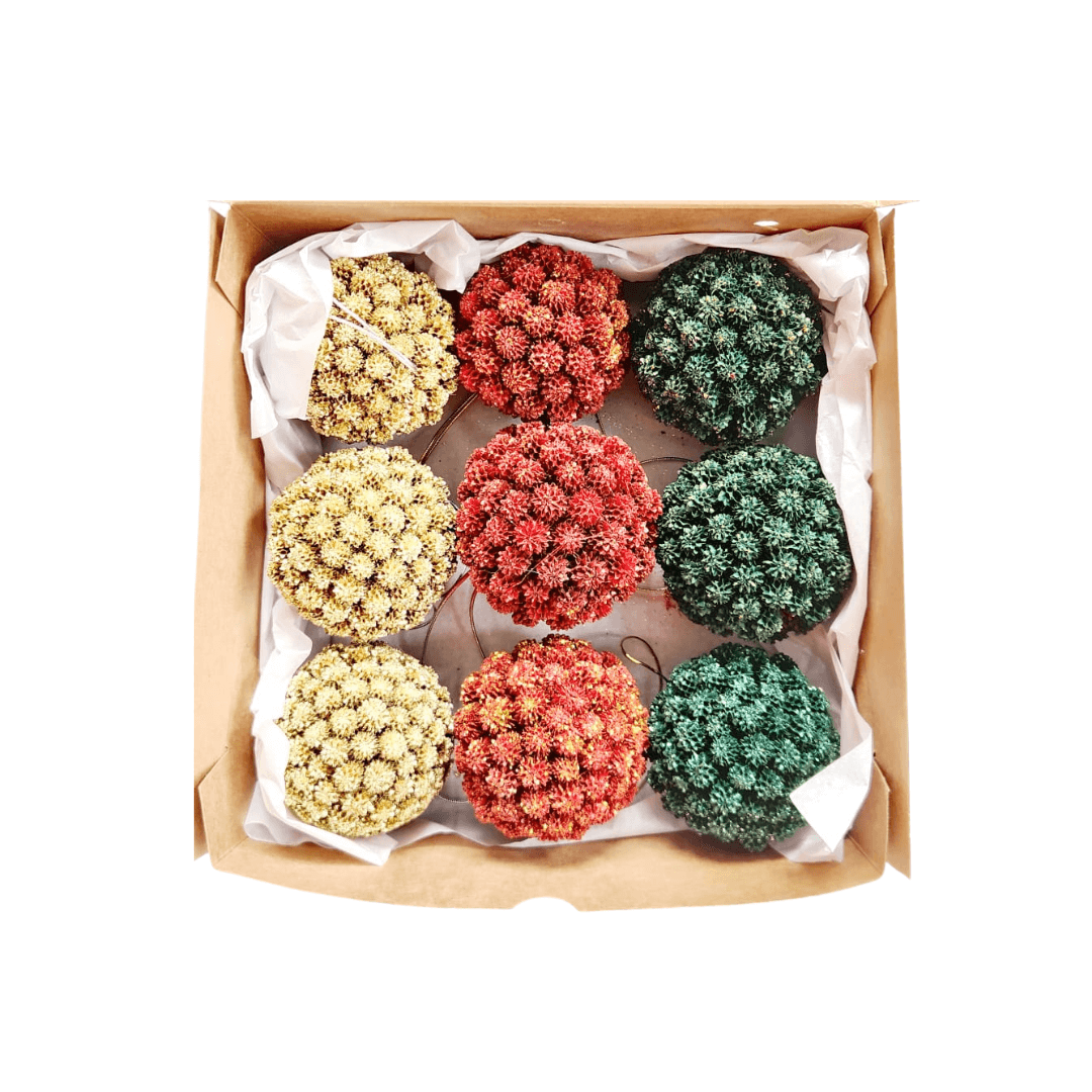 Seed Balls with Glitter (Box of 9) – Red, Green & Gold