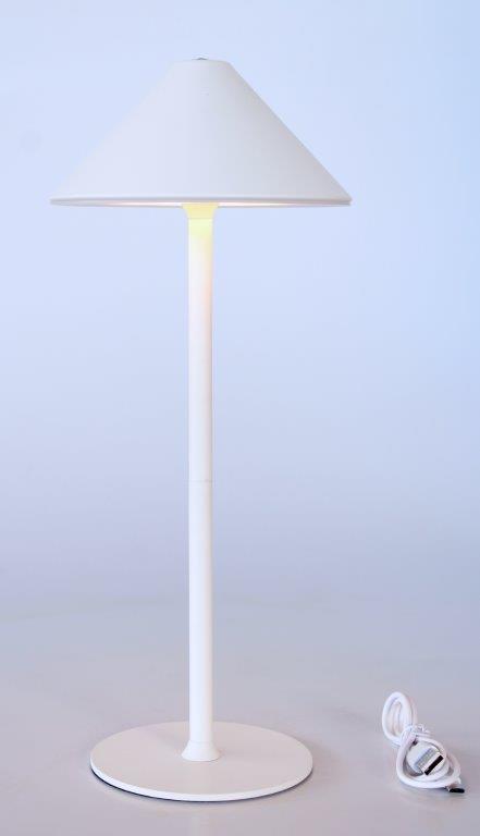 White LED Table Lamp Base with White Chinese Shade