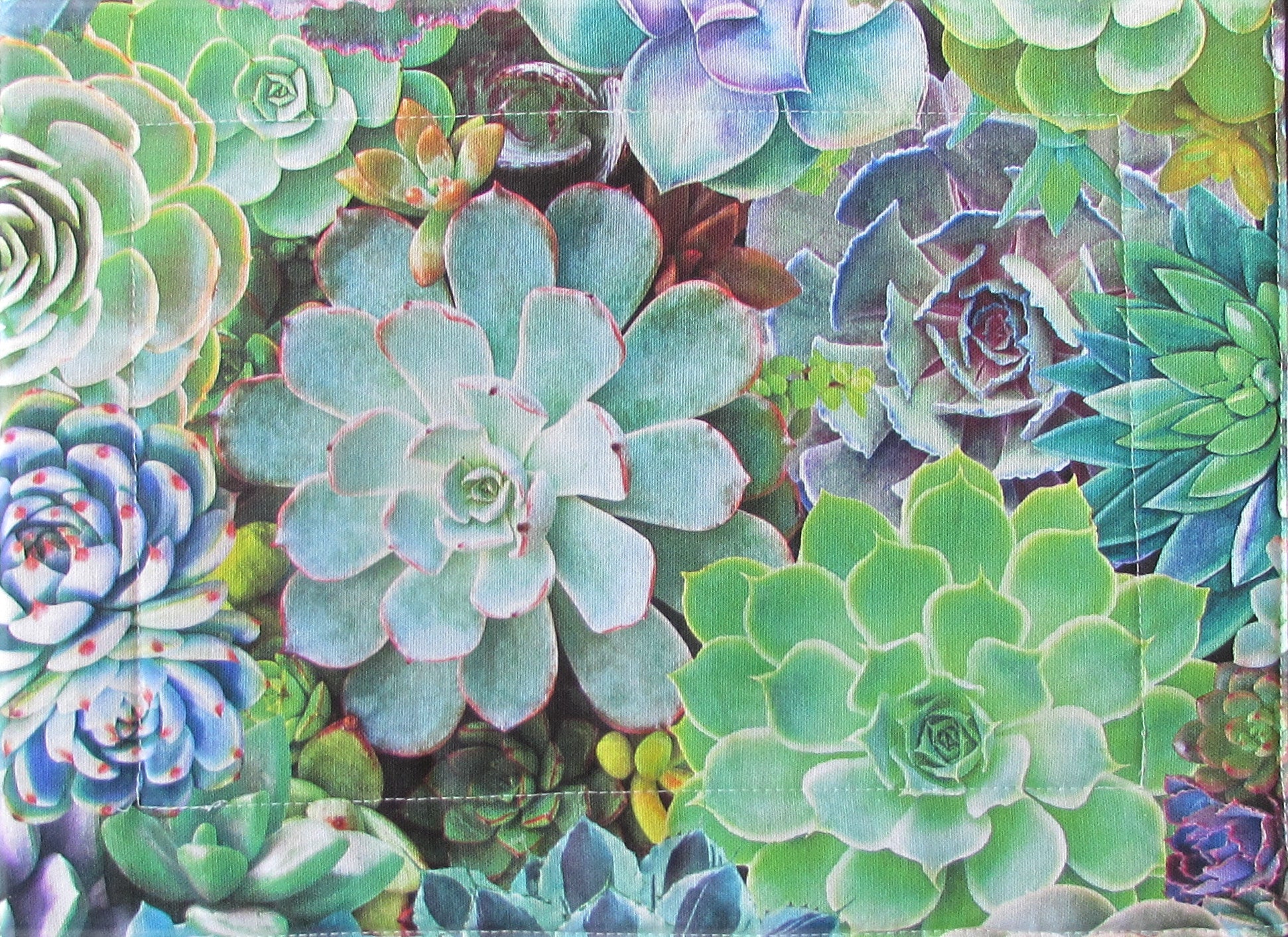 succulent placemats Succulent Placemat