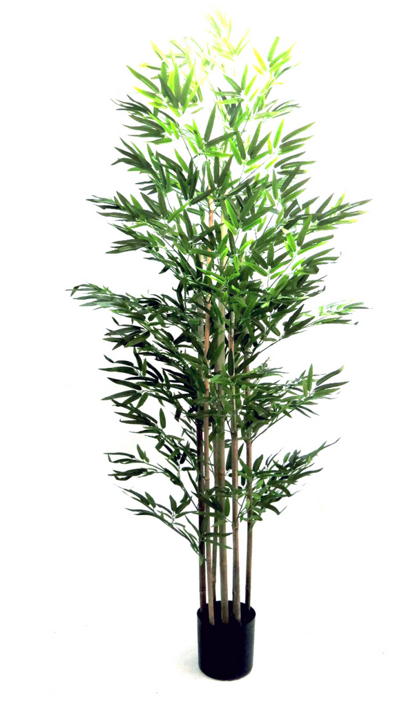 200cm Faux Bamboo Tree with 7 Trunks - NetDécor 