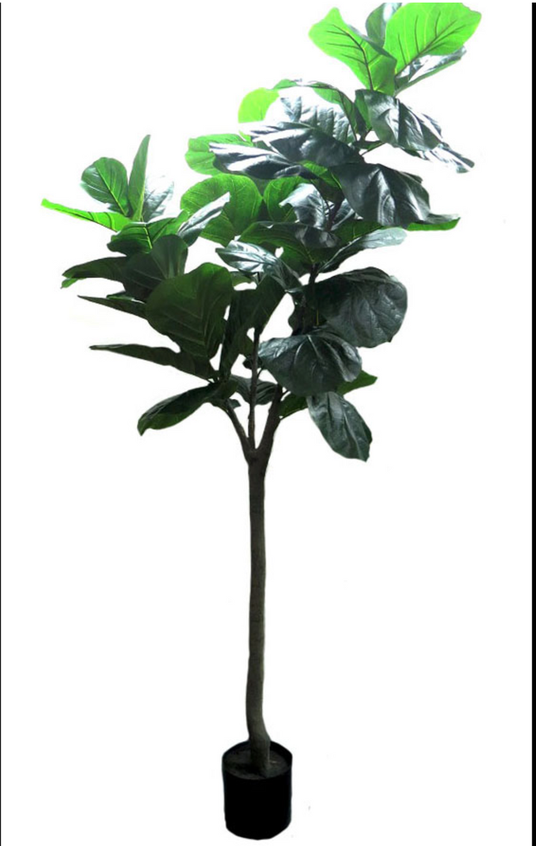210cm Fiddle Faux Fig Tree NetDécor