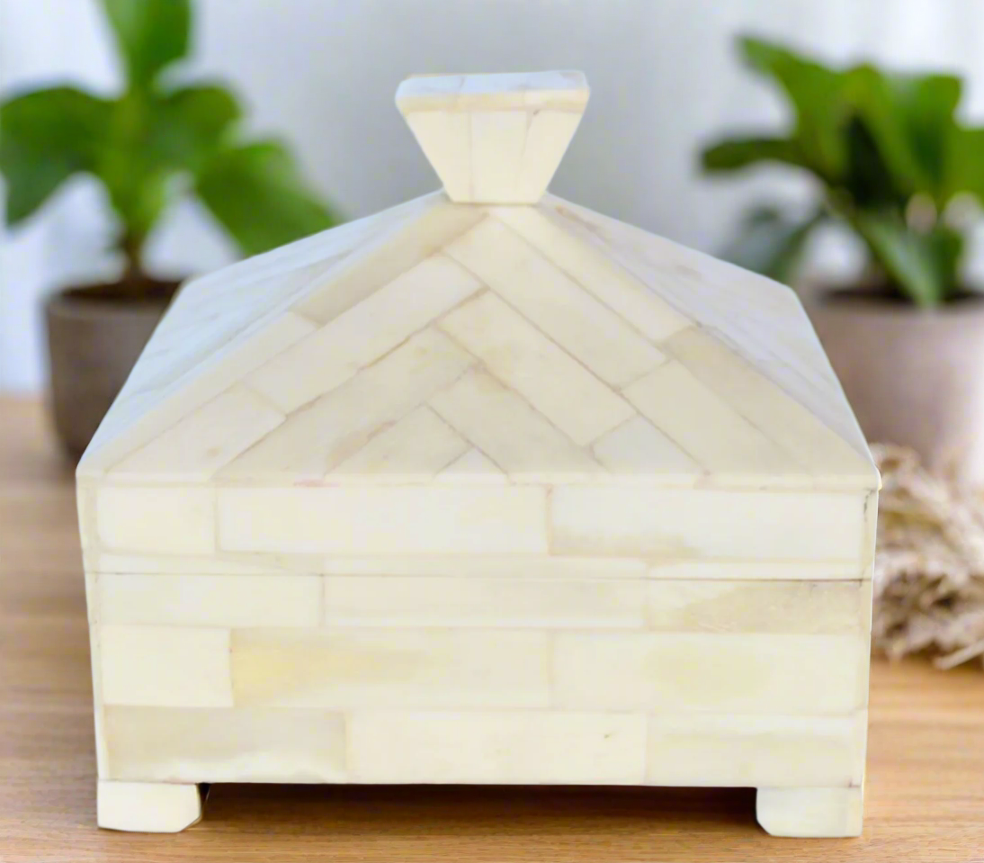 NATURAL BONE DOME SHAPED BOX
