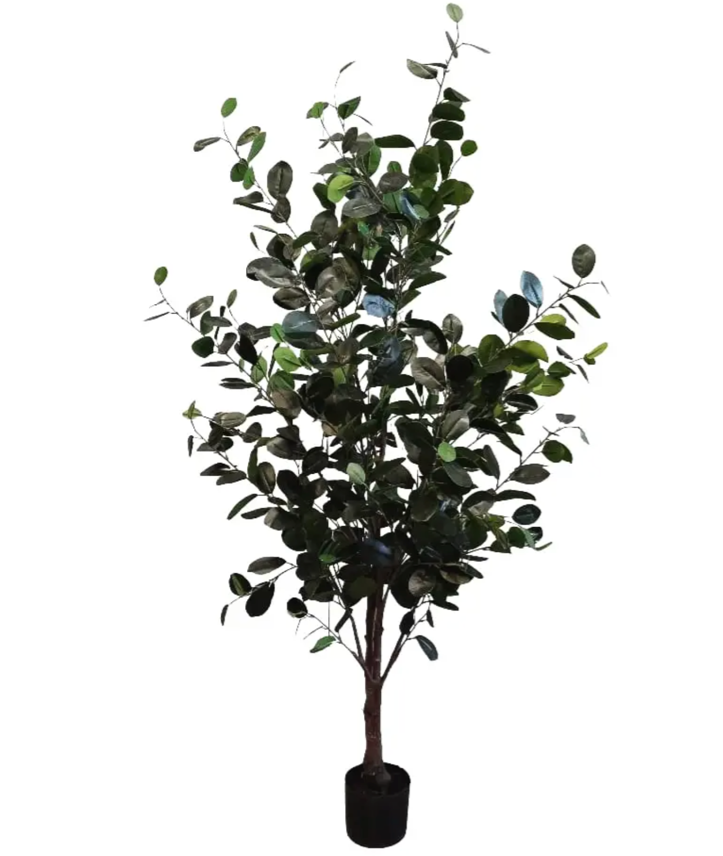 165cm Faux Ficus Tree