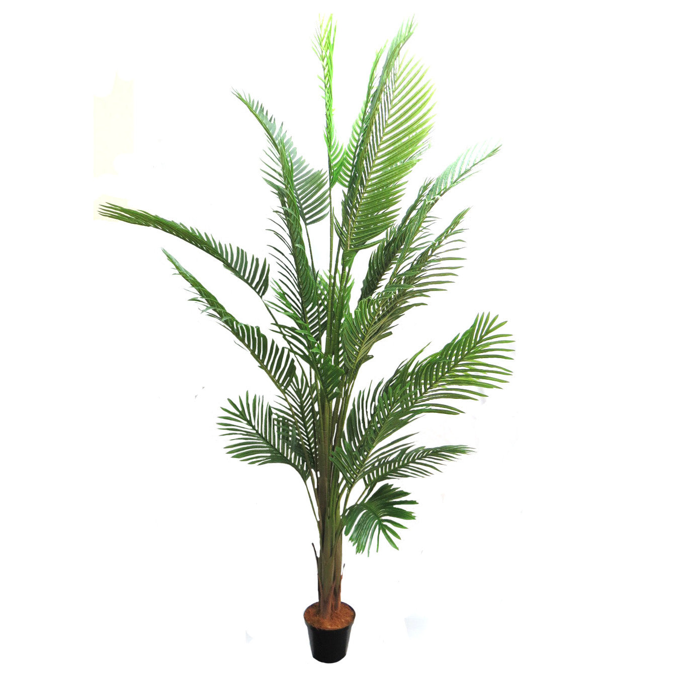 Faux Areca Palm 210cm