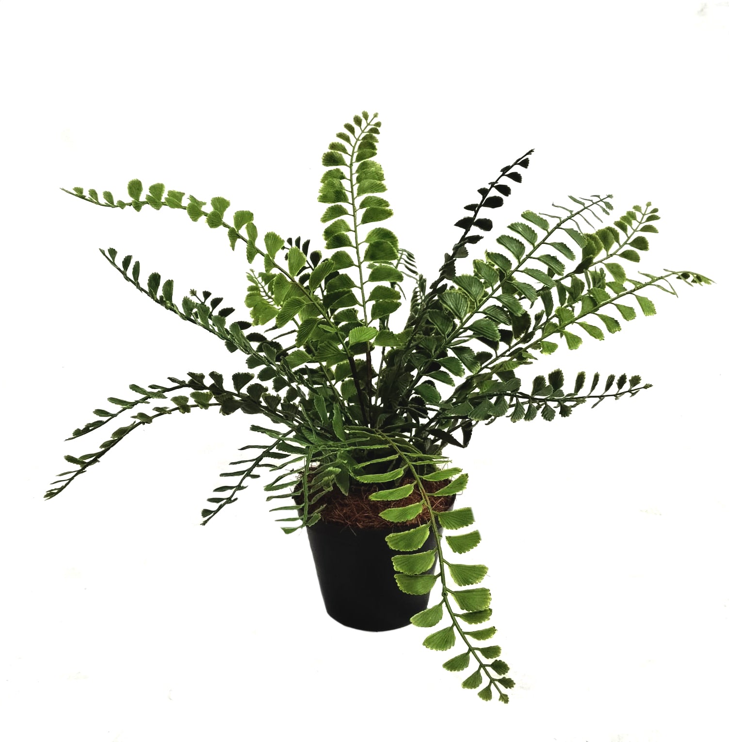 36cm Tall Faux Fern