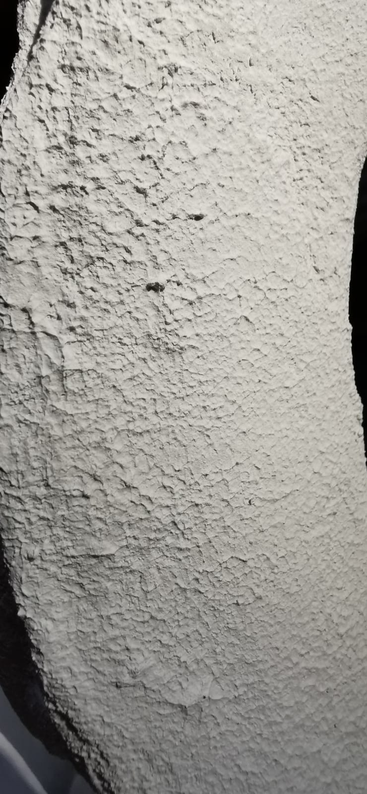 Faux Whale Bone Vertebrae Wall Sculpture