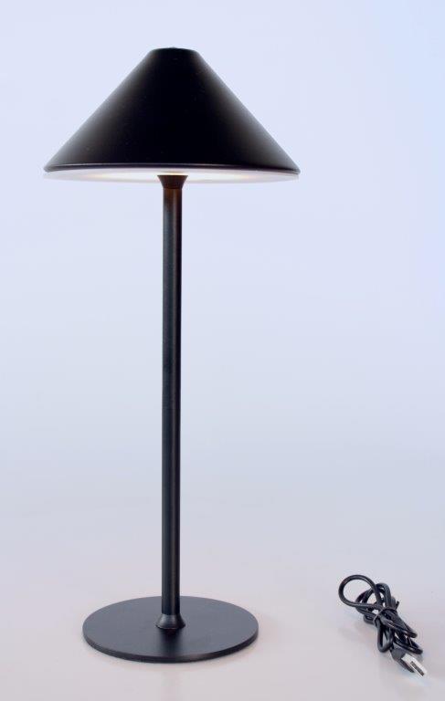 Black LED Black Lamp Base with Black Chinese Shade