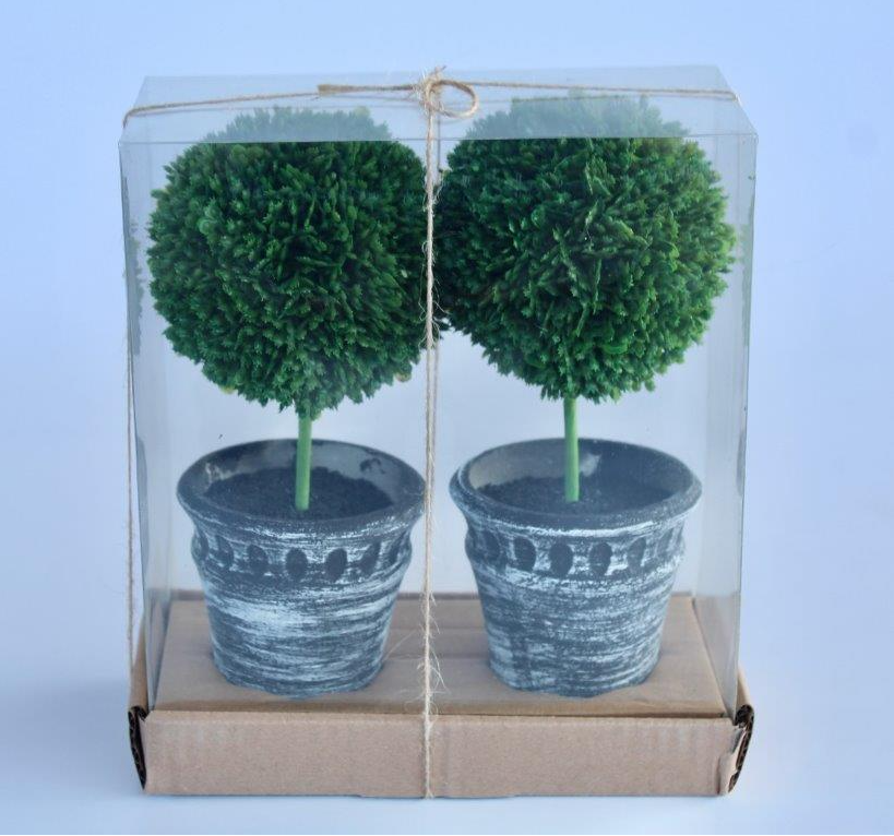 Set of 2 Topiary in Black Pots