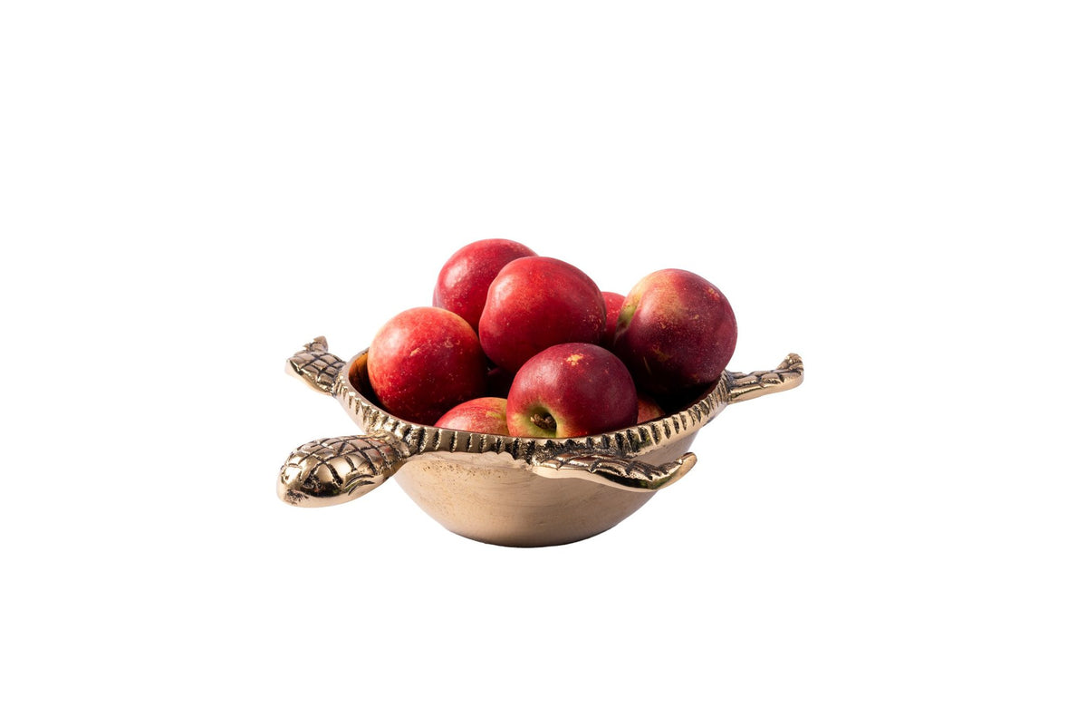 DUDLEY TURTLE DEEP BOWL BRASS
